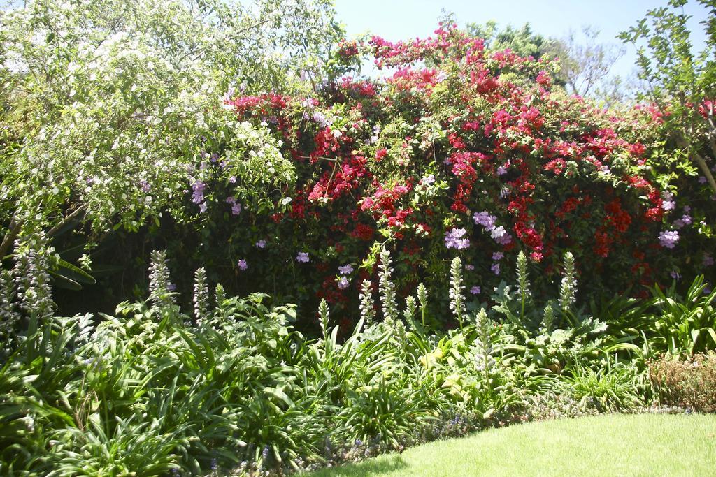 Melville Manor Guest House ヨハネスブルグ エクステリア 写真