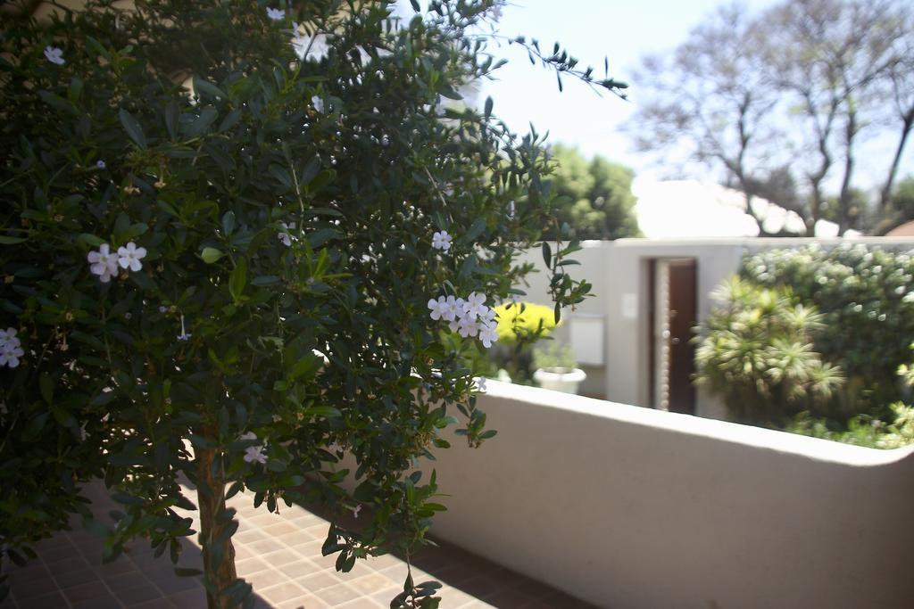 Melville Manor Guest House ヨハネスブルグ エクステリア 写真