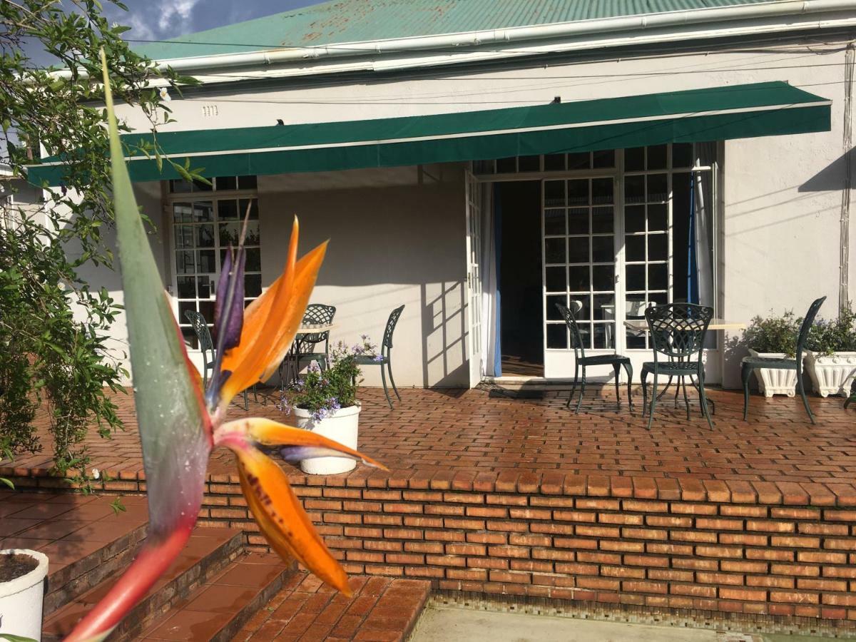 Melville Manor Guest House ヨハネスブルグ エクステリア 写真